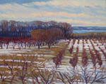 Orchards, Early March